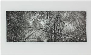 Image description is not available for 2001.047